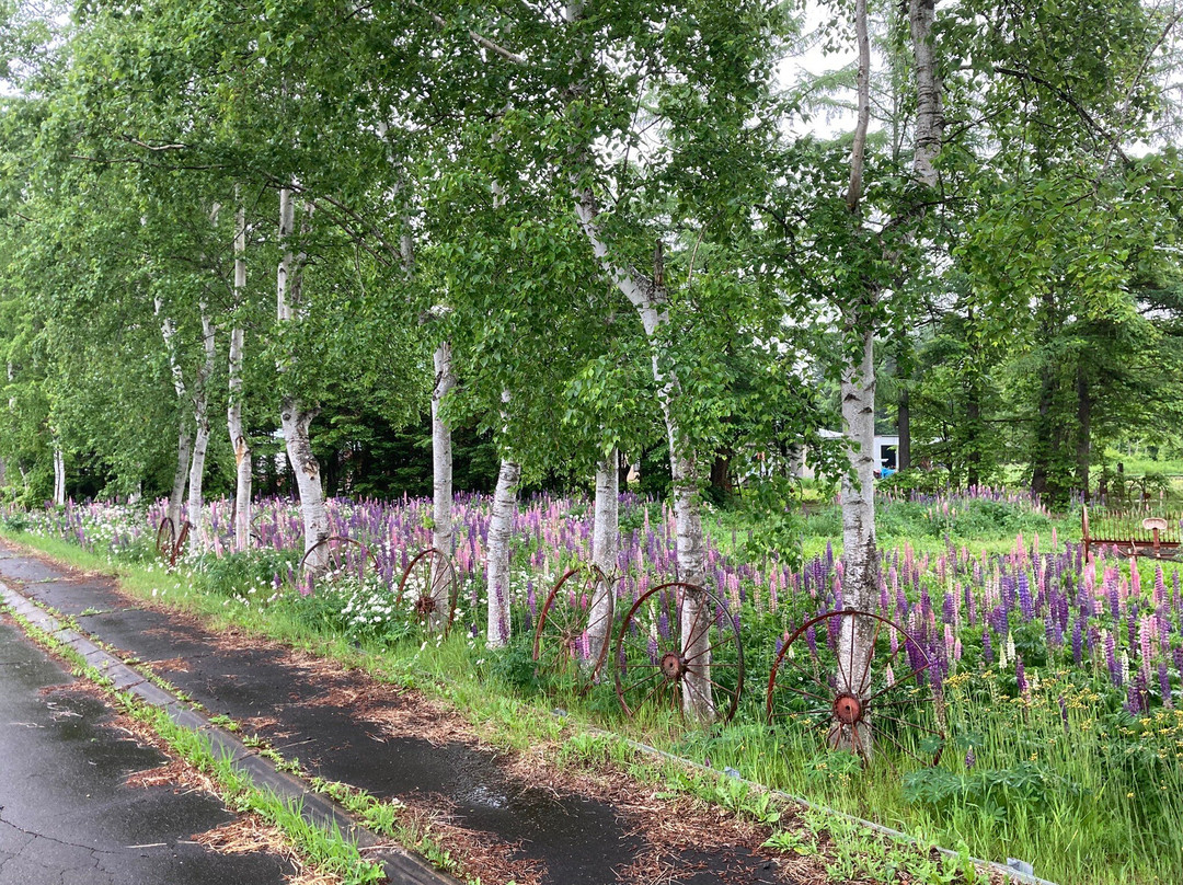 Tokachiyado Denen主图