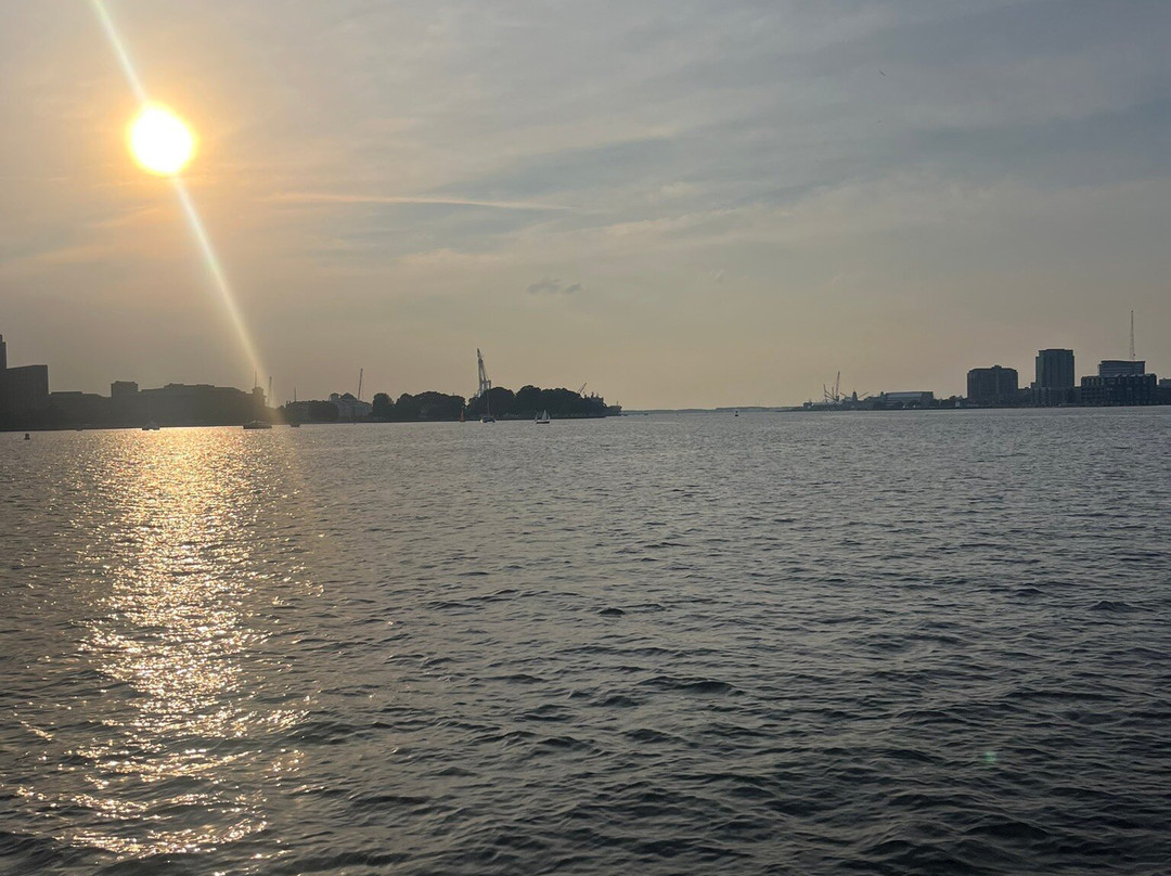 American Rover Sailing Cruises-诺福克必去景点