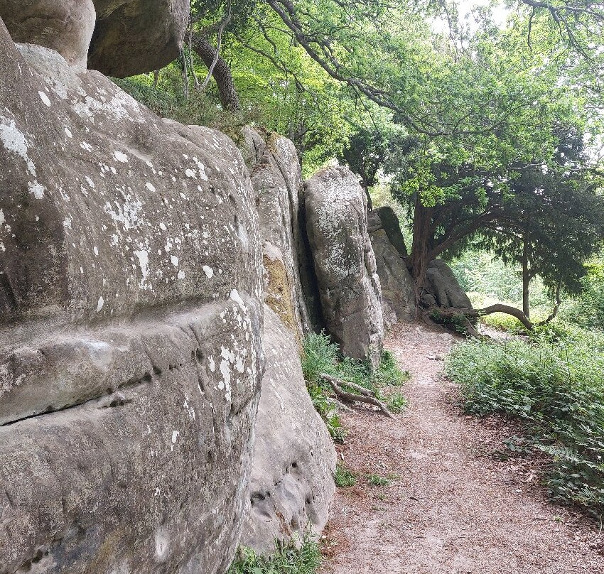 Stone Farm Rocks-东格林斯特德必去景点