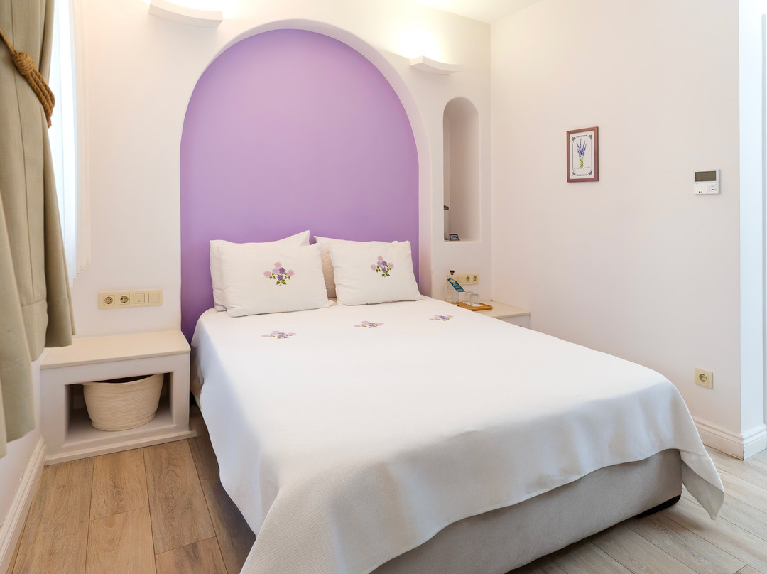 Sigacik Gardenya Butik Otel主图