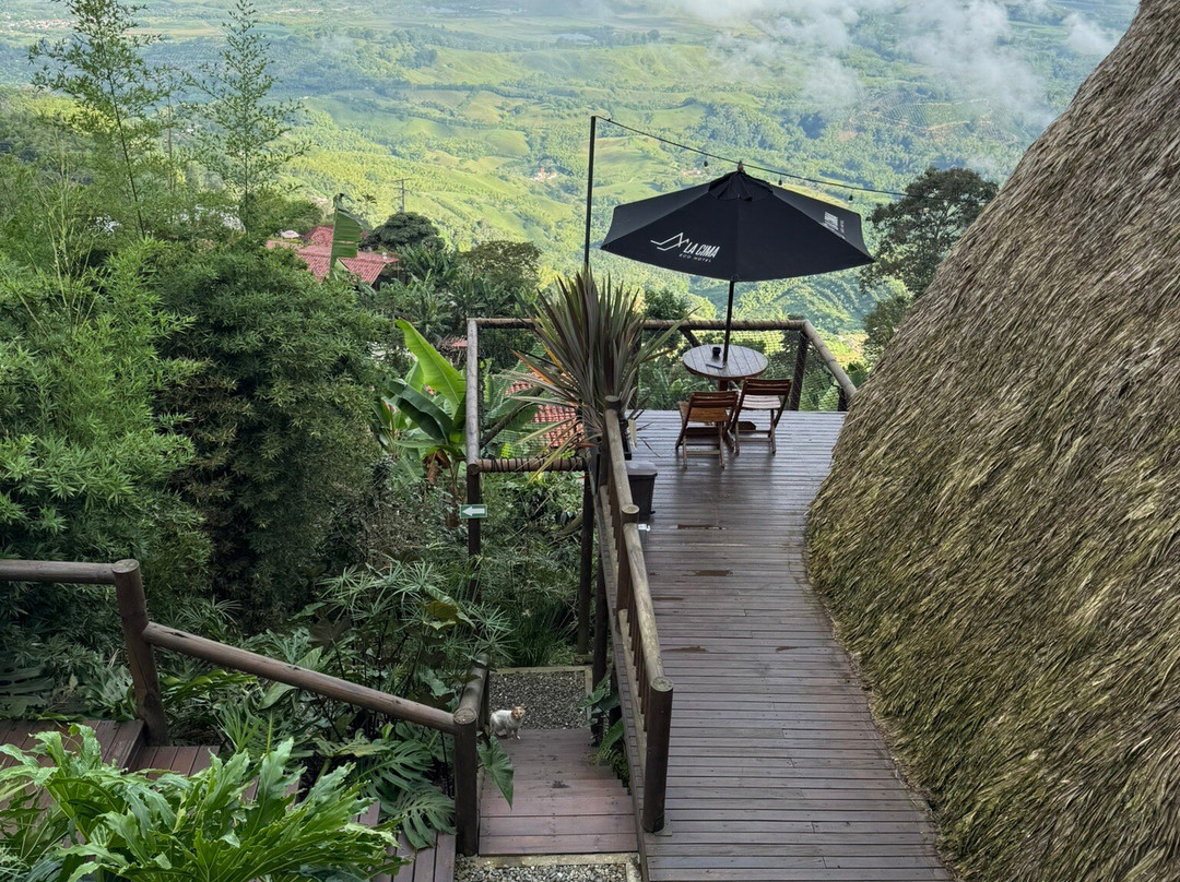 La Cima Eco Hotel主图