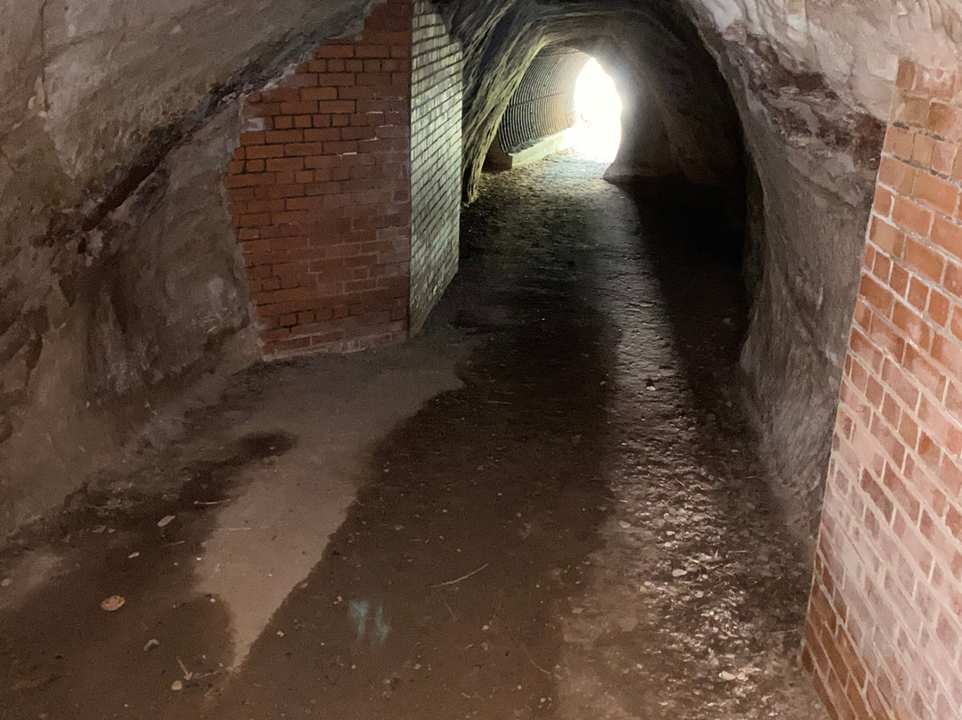 Cove Harbour-Cockburnspath必去景点