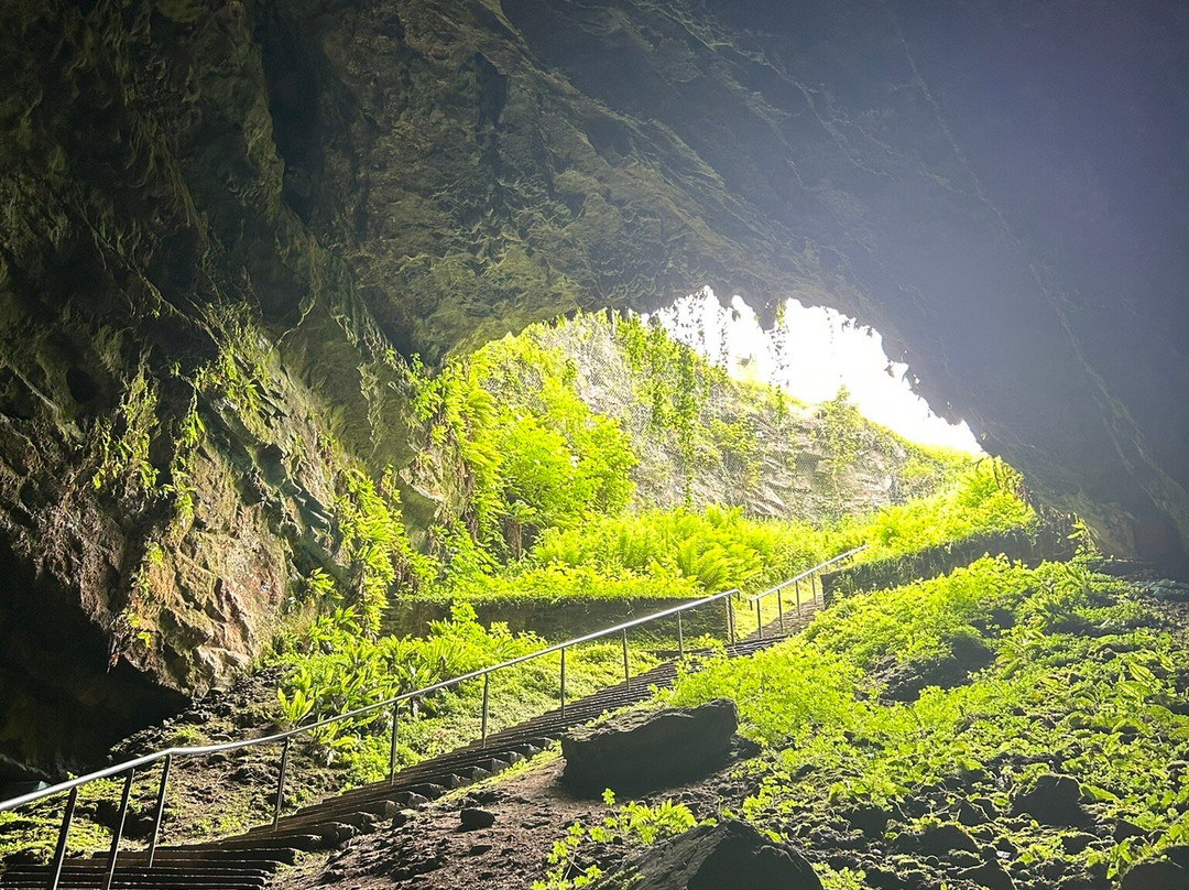 Dunmore Cave-基尔肯尼郡必去景点