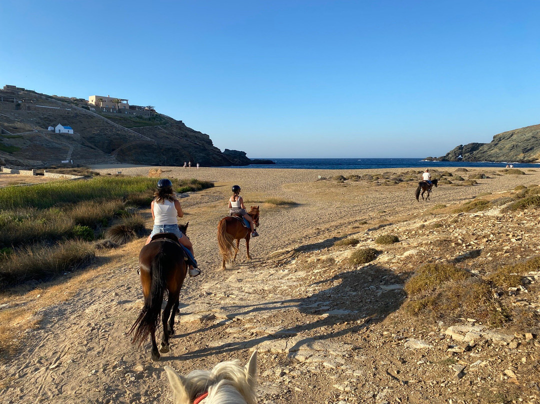Mykonos Horseland-米科诺斯必去景点
