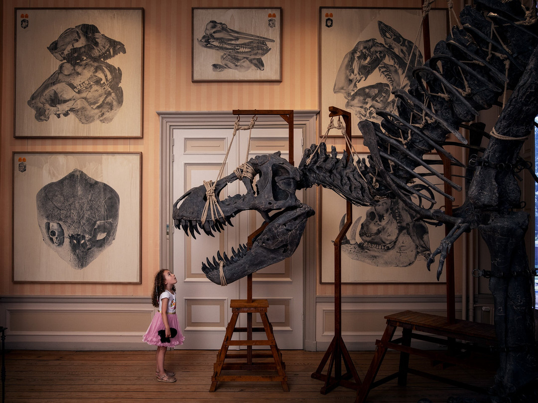 Art Zoo Museum