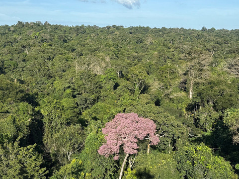 Biodiverse Brazil Tours-Chapada dos Guimaraes必去景点