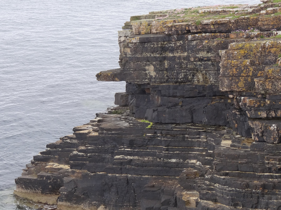 Mull Head Nature Reserve-Deerness必去景点