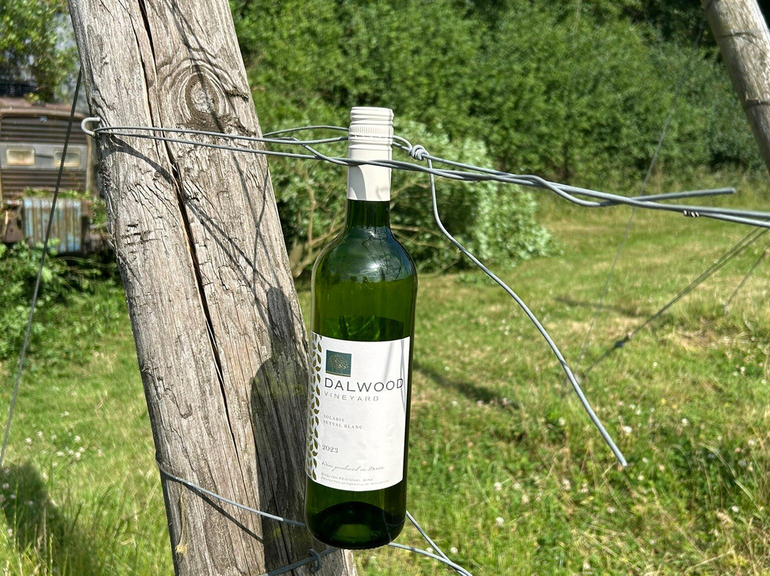 Dalwood Vineyard-Dalwood必去景点