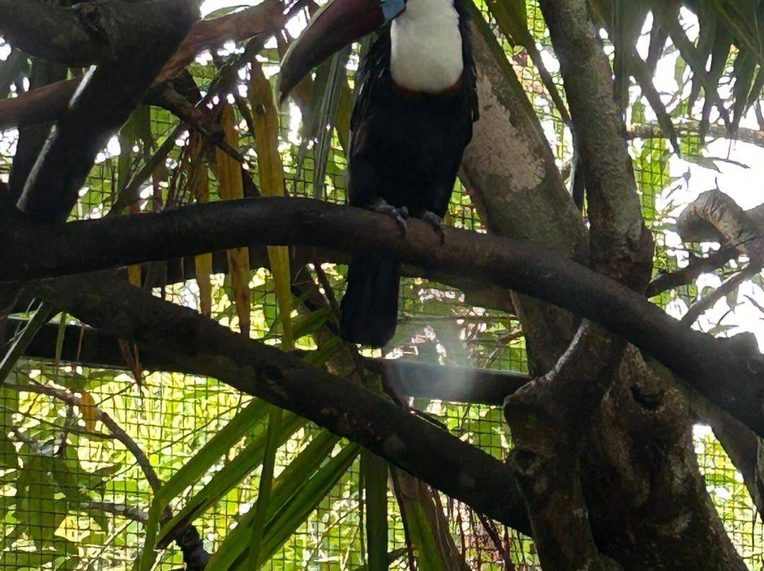 Zoo de Guyane-Macouria必去景点