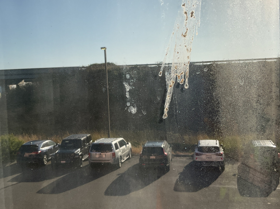 Rodeway Inn Watsonville主图