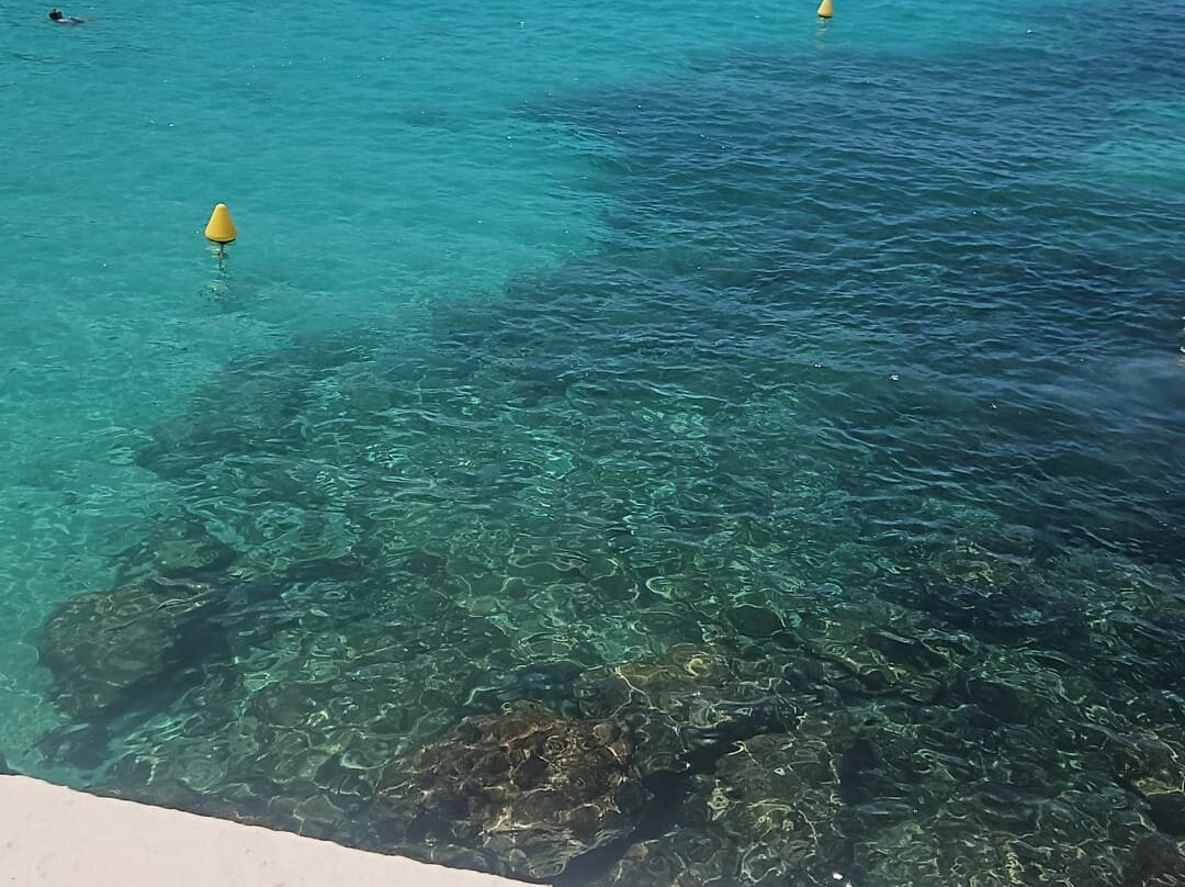 Cala Blanca Beach-卡拉布兰卡必去景点
