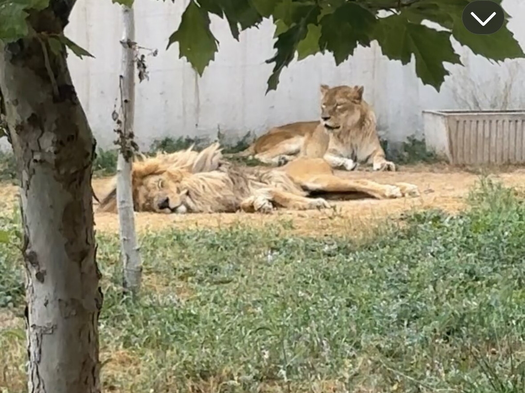 Sarajevo Zoo-萨拉热窝必去景点