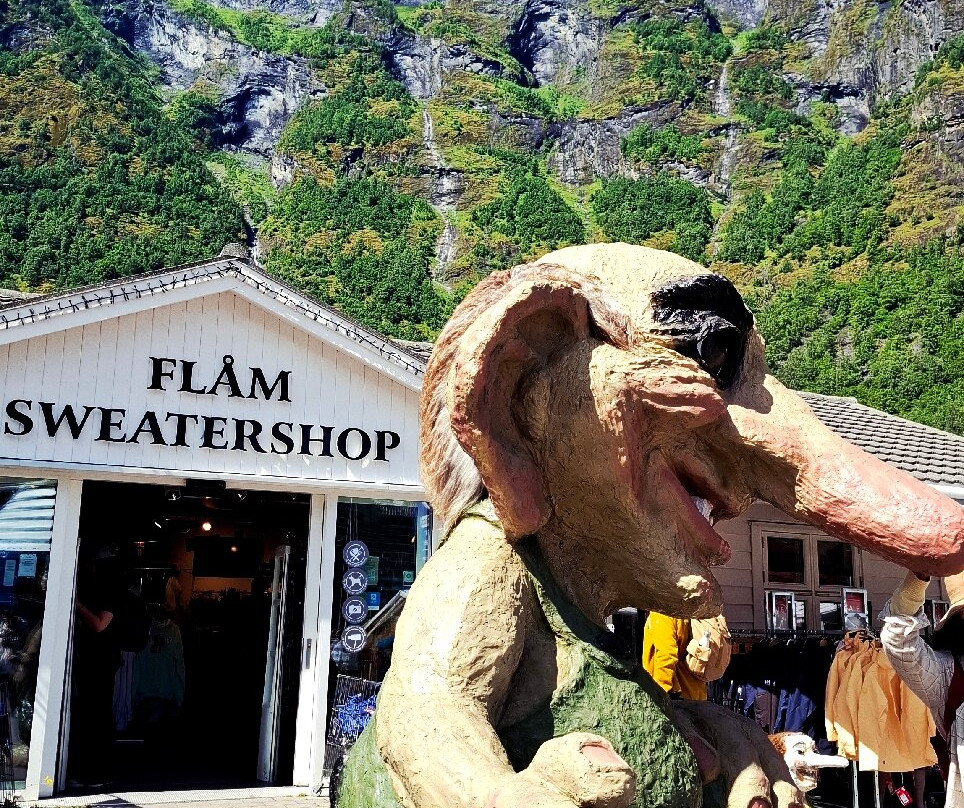 Flam Visitor Center-弗洛姆必去景点