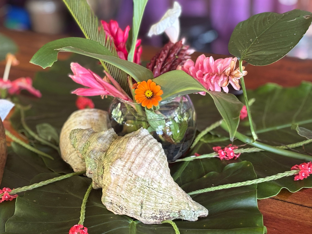 Shooting Star Studio-帕沃尼斯必去景点