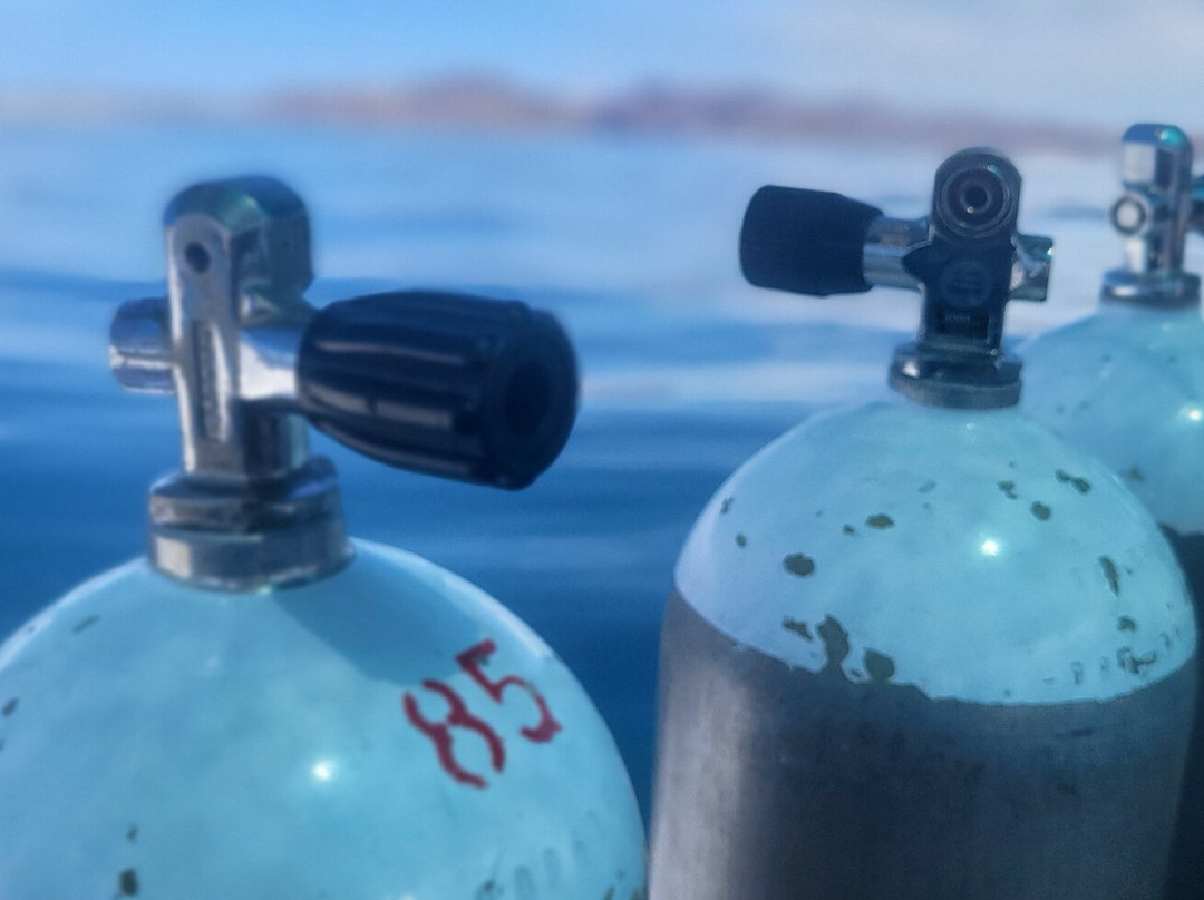 Dive in la Paz-拉巴斯必去景点