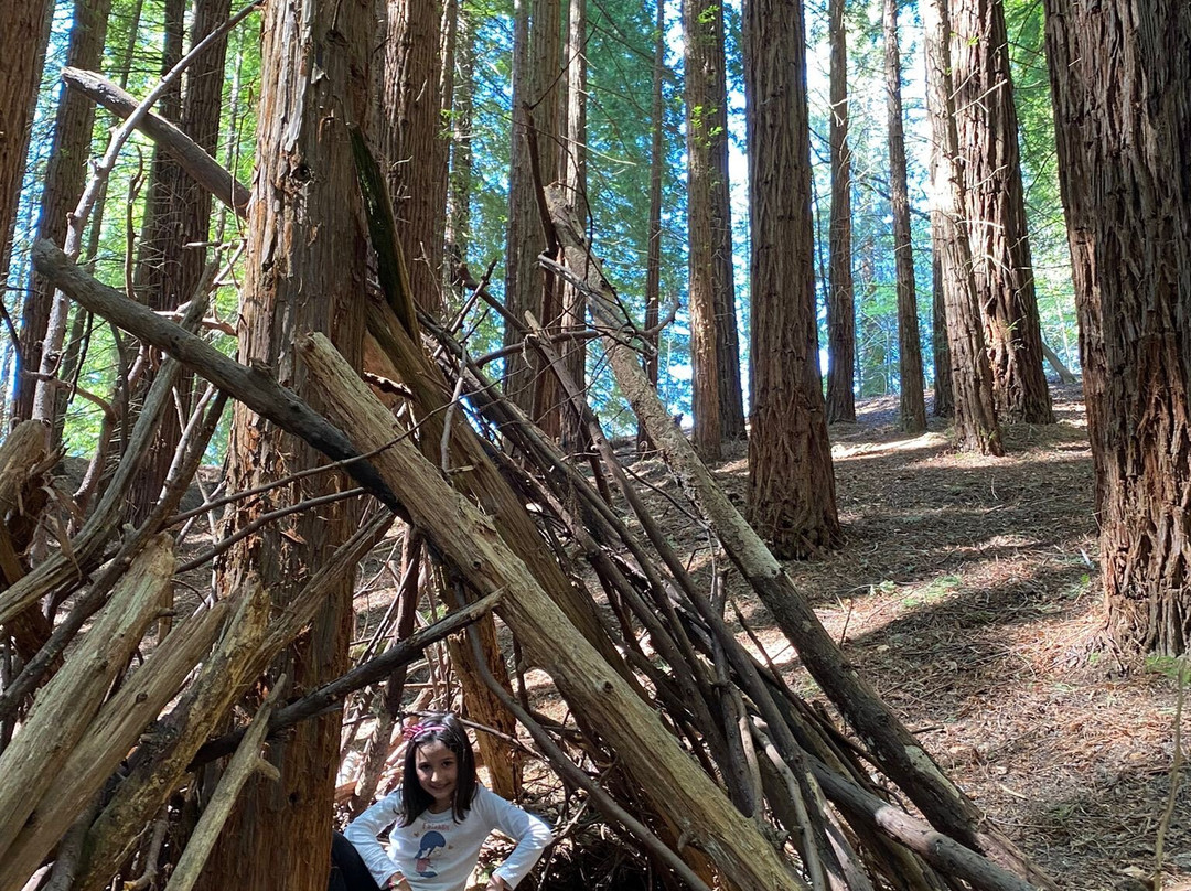 Natural Monument of the Sequoias of Monte Cabezón-Cabezon de la Sal必去景点