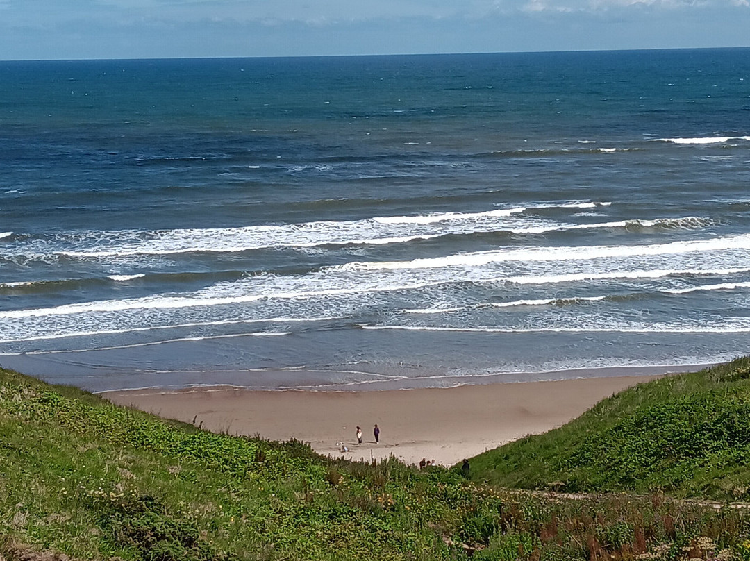 Scarborough Surf School-斯卡伯勒必去景点