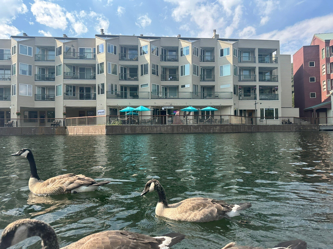 Nowhere Pizza & Pub主图