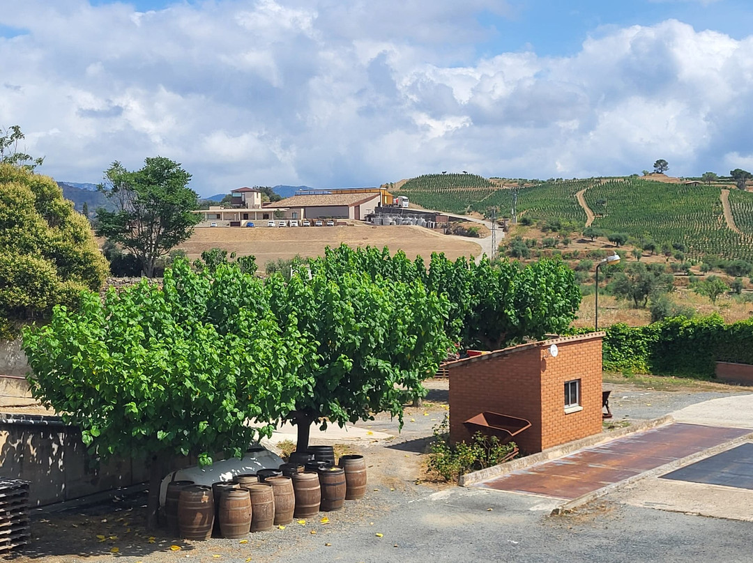 Vinicola del Priorat-Gratallops必去景点