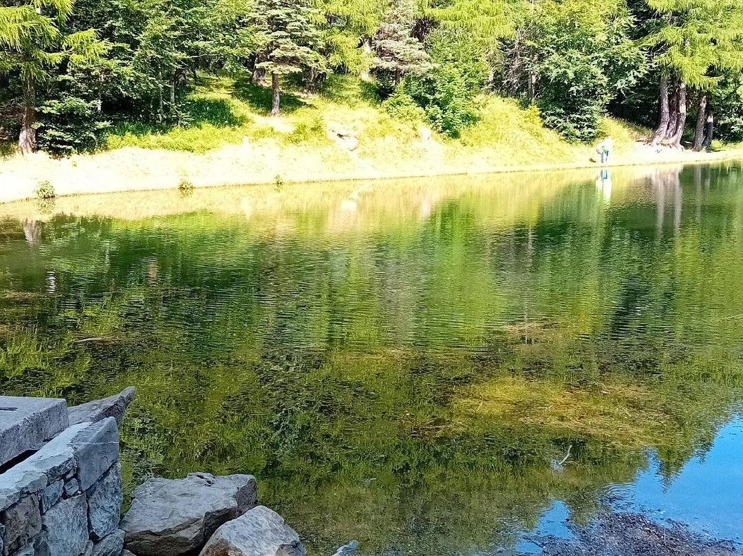 Il Lago della Ninfa-塞斯托拉必去景点