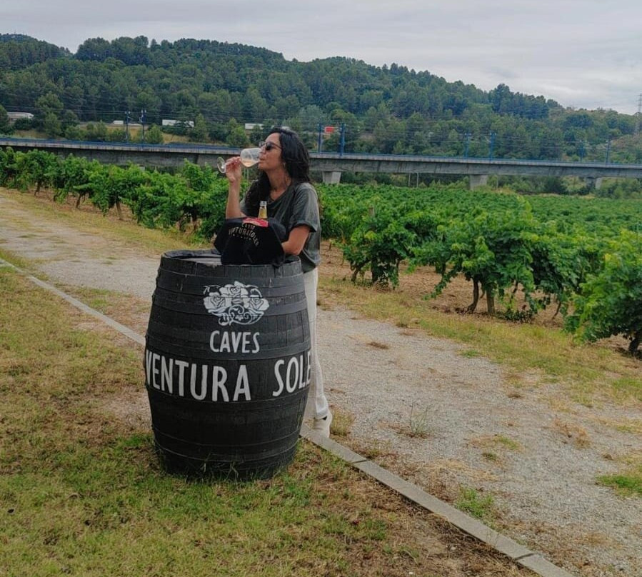 Caves Ventura Soler-桑特萨杜尔尼达诺亚必去景点