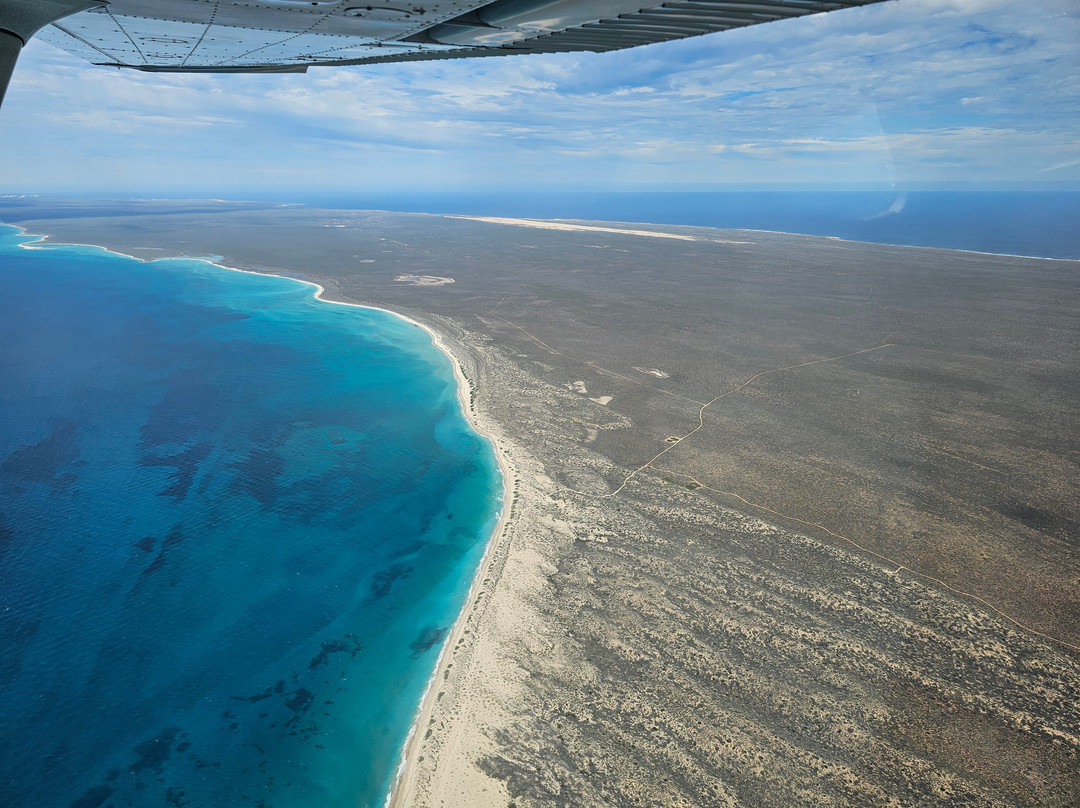 Shark Bay Aviation-德纳姆必去景点