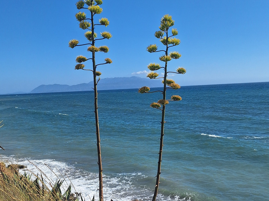 Adonis Hotel & Apartments主图