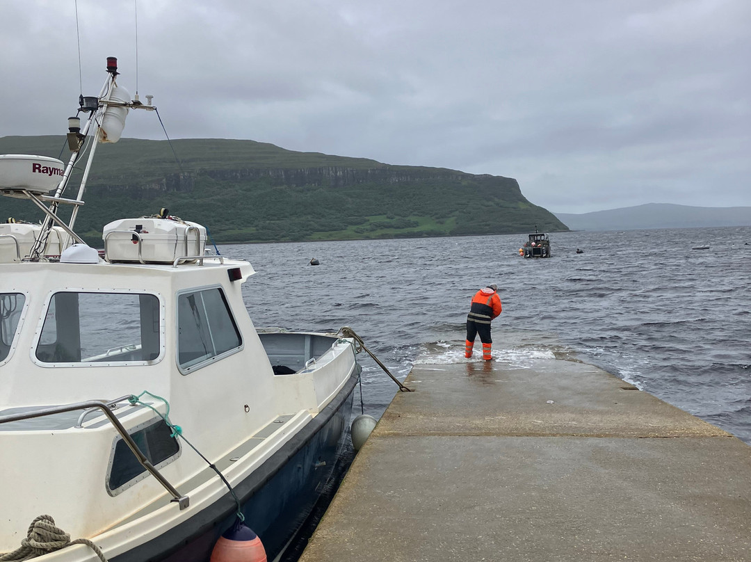 Diver's Eye Boat Trips-Stein必去景点