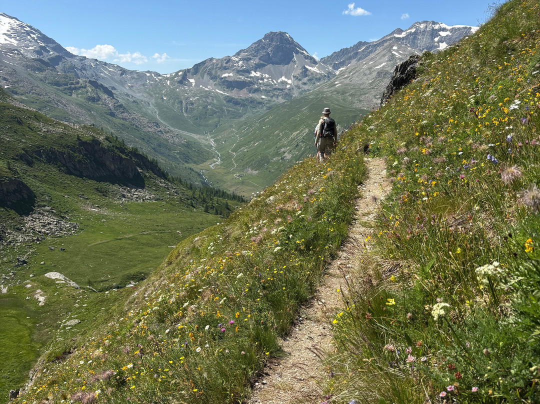Trekking Alps-里沃利必去景点