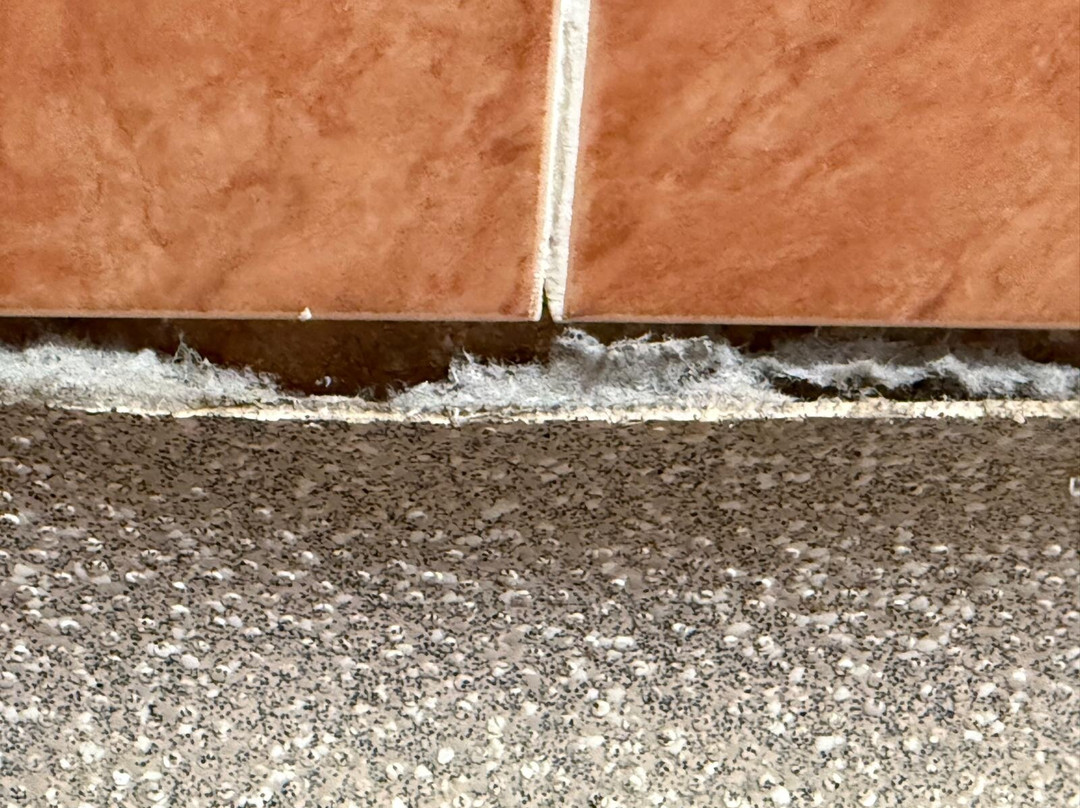 Cavendish Hotel主图