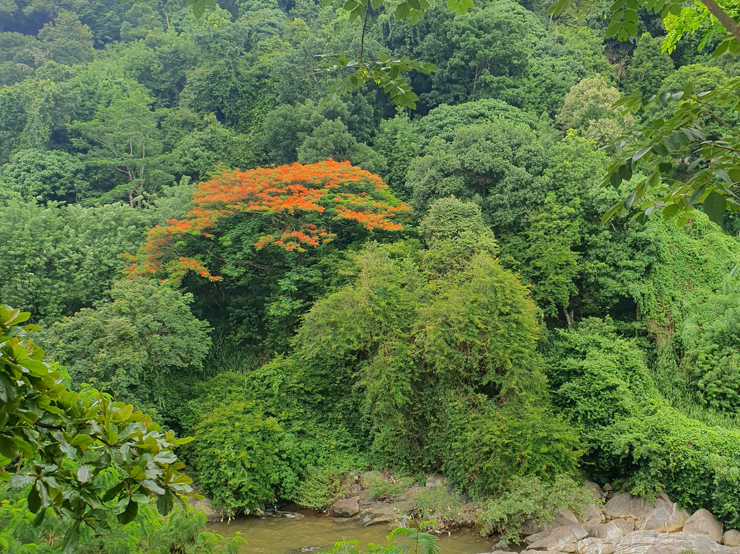 Suwa Rakshana Weda Madura-Pilimathalawa必去景点