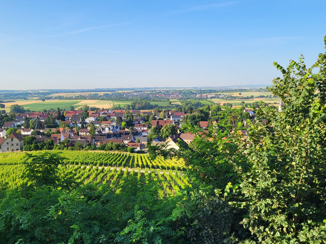 Weingut Reßler主图