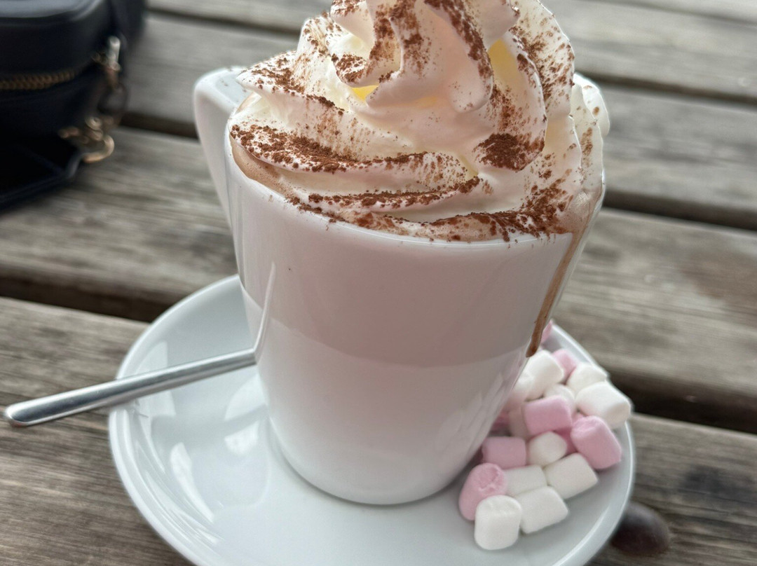 Pavilions Teignmouth-廷茅斯必去景点