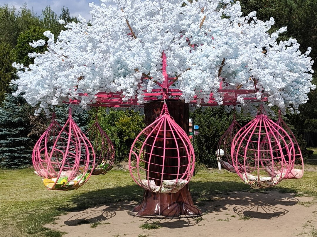 Jurajski Park Dinozaurów Muzeum Dziejów Ziemi-Wasilkow必去景点