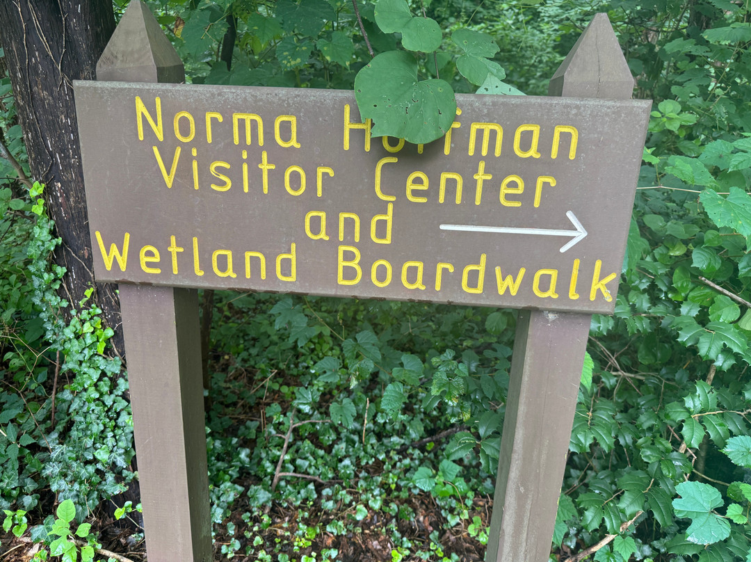 Huntley Meadows Park-亚历山德里亚必去景点