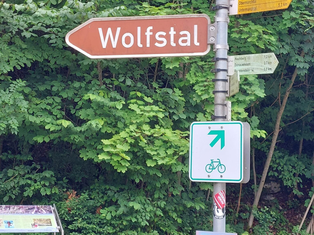 Landgasthof Hotel Hirsch im Grunen主图