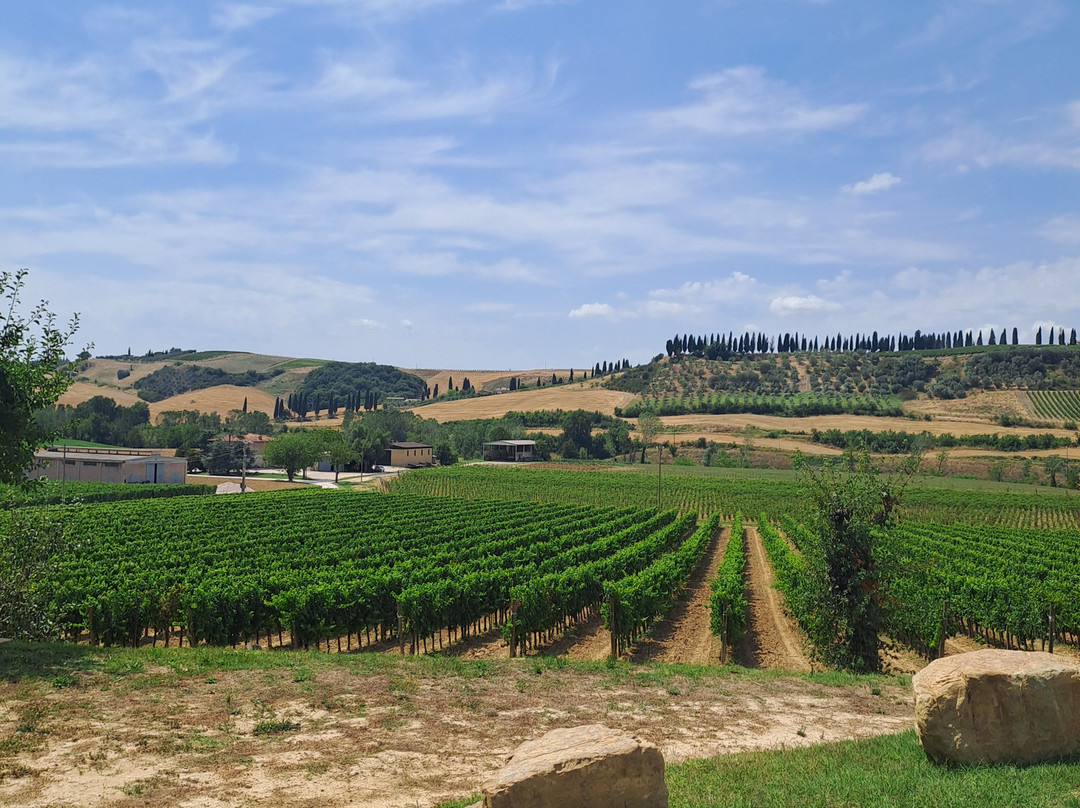 Azienda Agricola Santa Giulia-Torrenieri必去景点