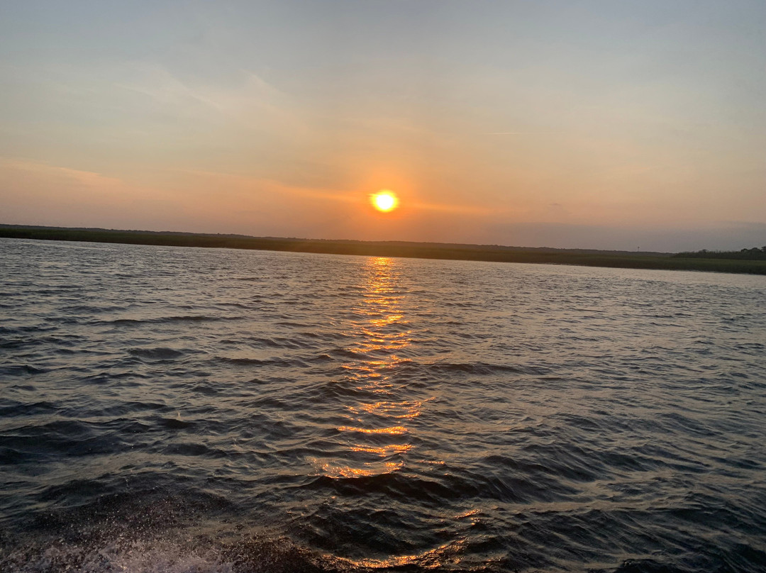 Birding By Boat on the Osprey-开普梅必去景点
