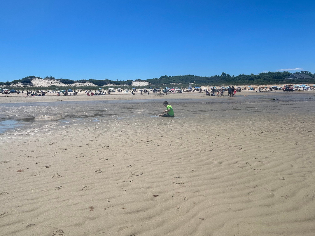 Howes St Beach-Dennis必去景点