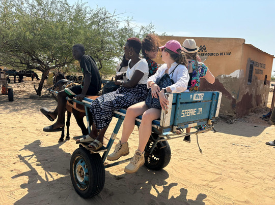 Les Îles Du Saloum-Dangane必去景点