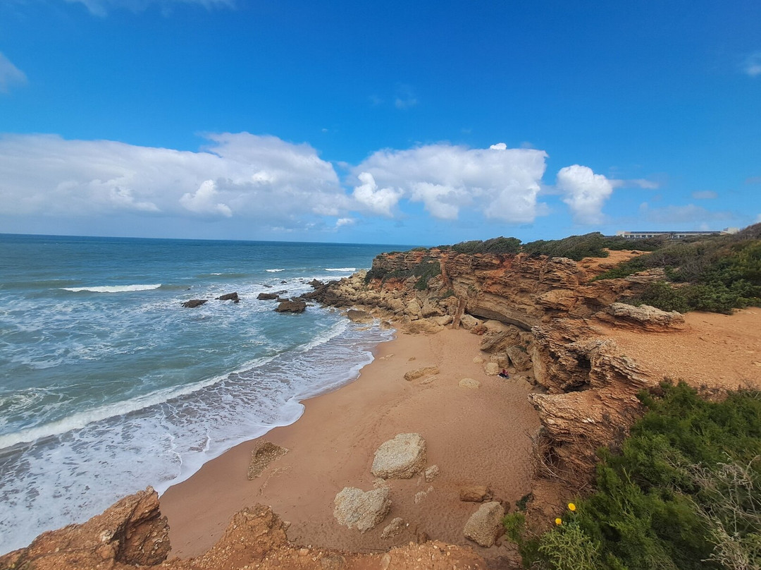 Calas de Roche-Conil de la Frontera必去景点