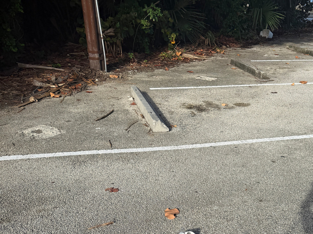 Dog Park-好莱坞必去景点