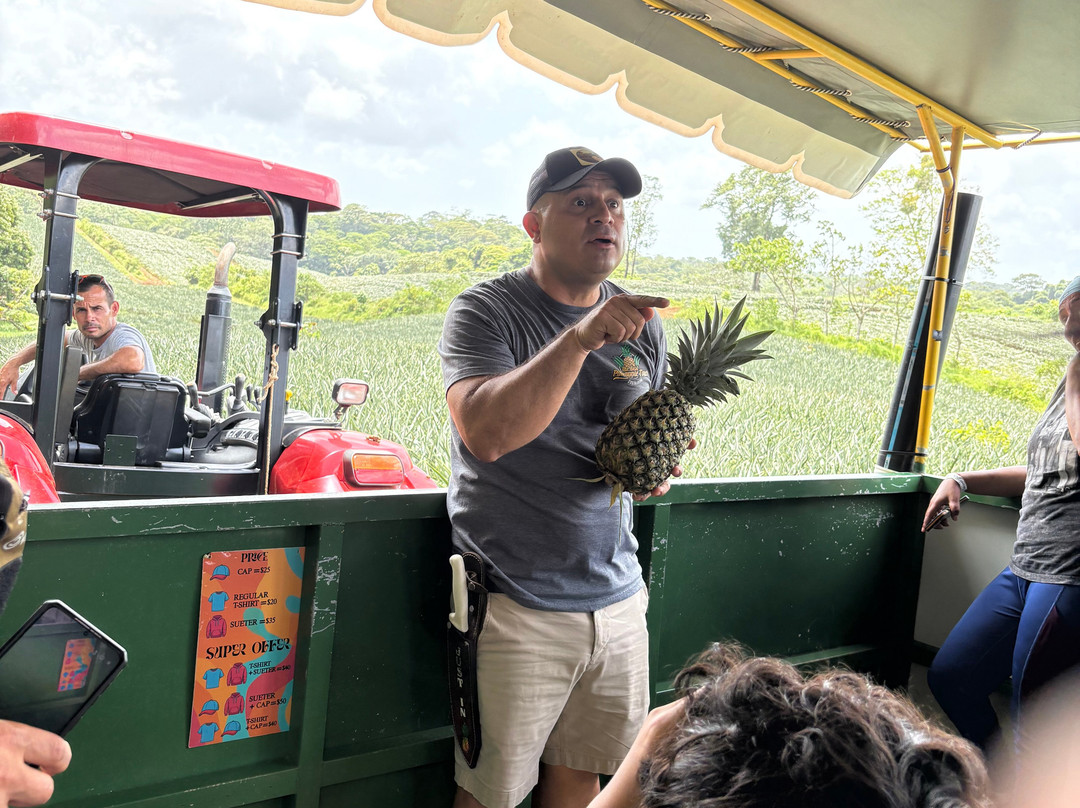 The Best Pineapple Tour Costa Rica-Rio Cuarto必去景点