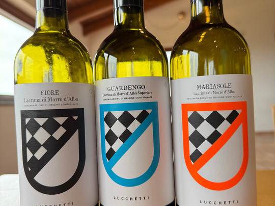 Azienda Agricola Mario Lucchetti-Morro d'Alba必去景点