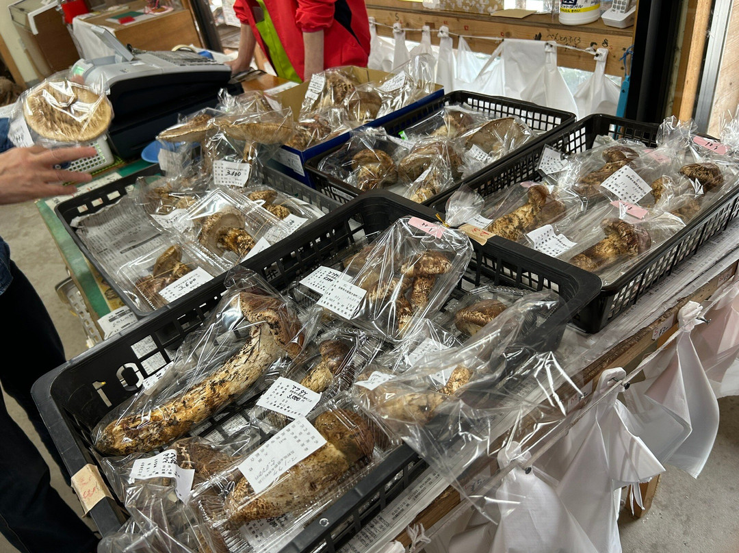 Michi-no-Eki Mitake-木曾町必去景点