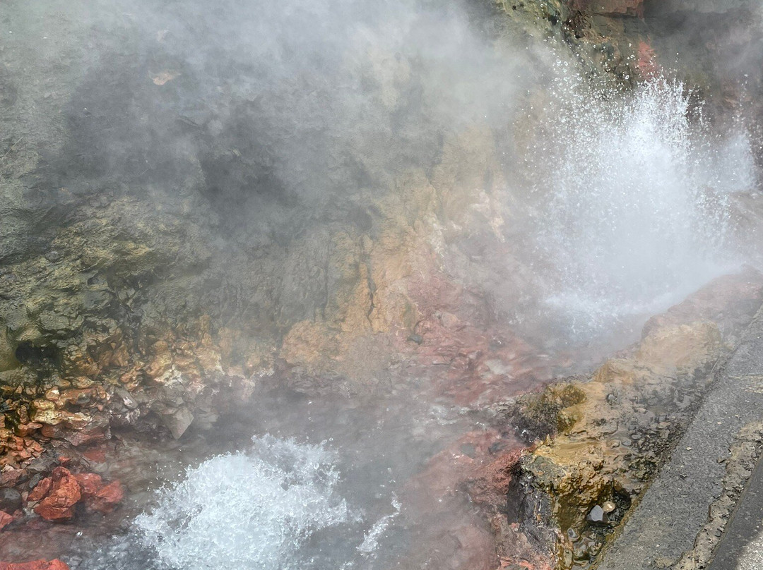 Deildartunguhver Thermal Spring-Reykholt必去景点