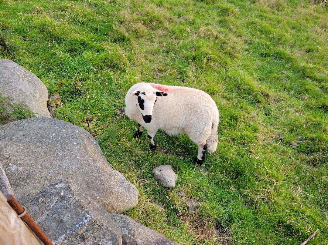 Merthyr Farm Campsite-Harlech必去景点