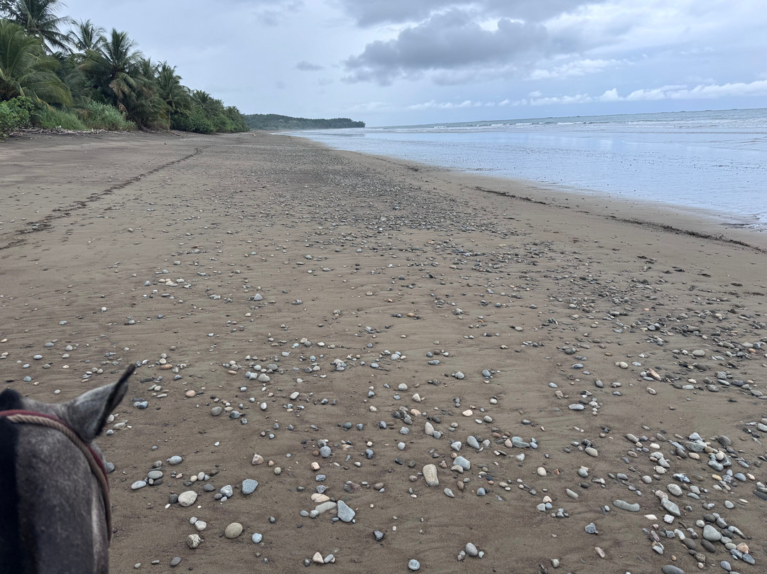 Rancho La Merced National Wildlife Refuge-乌维塔必去景点