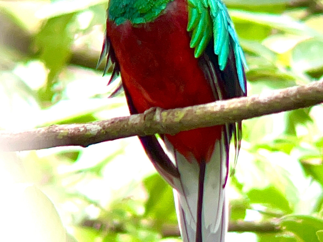 Jason Lara Tours-波魁特必去景点