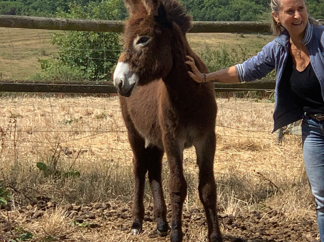 La Ferme du Hitton-Biran必去景点